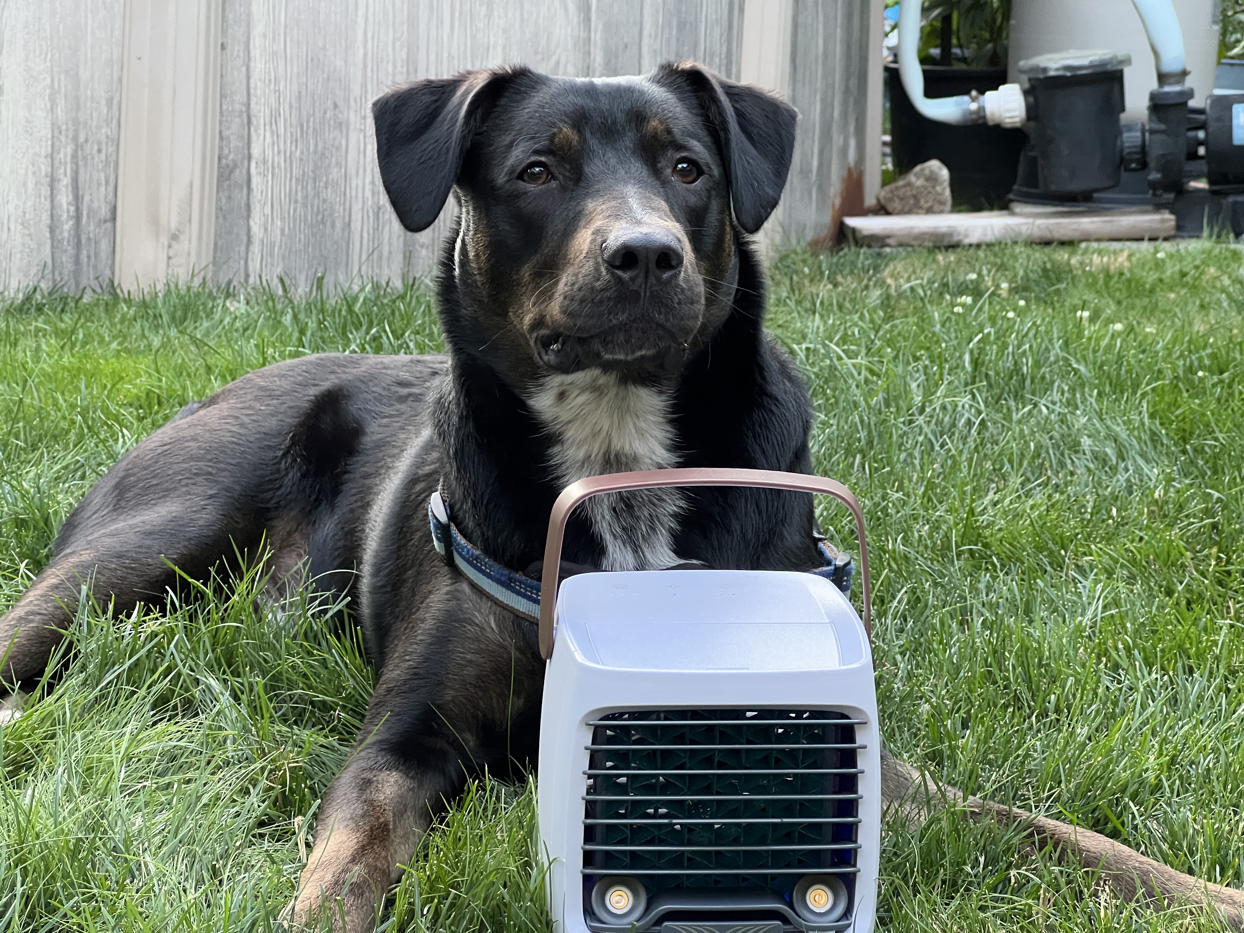 ChillWell 2.0 fill water